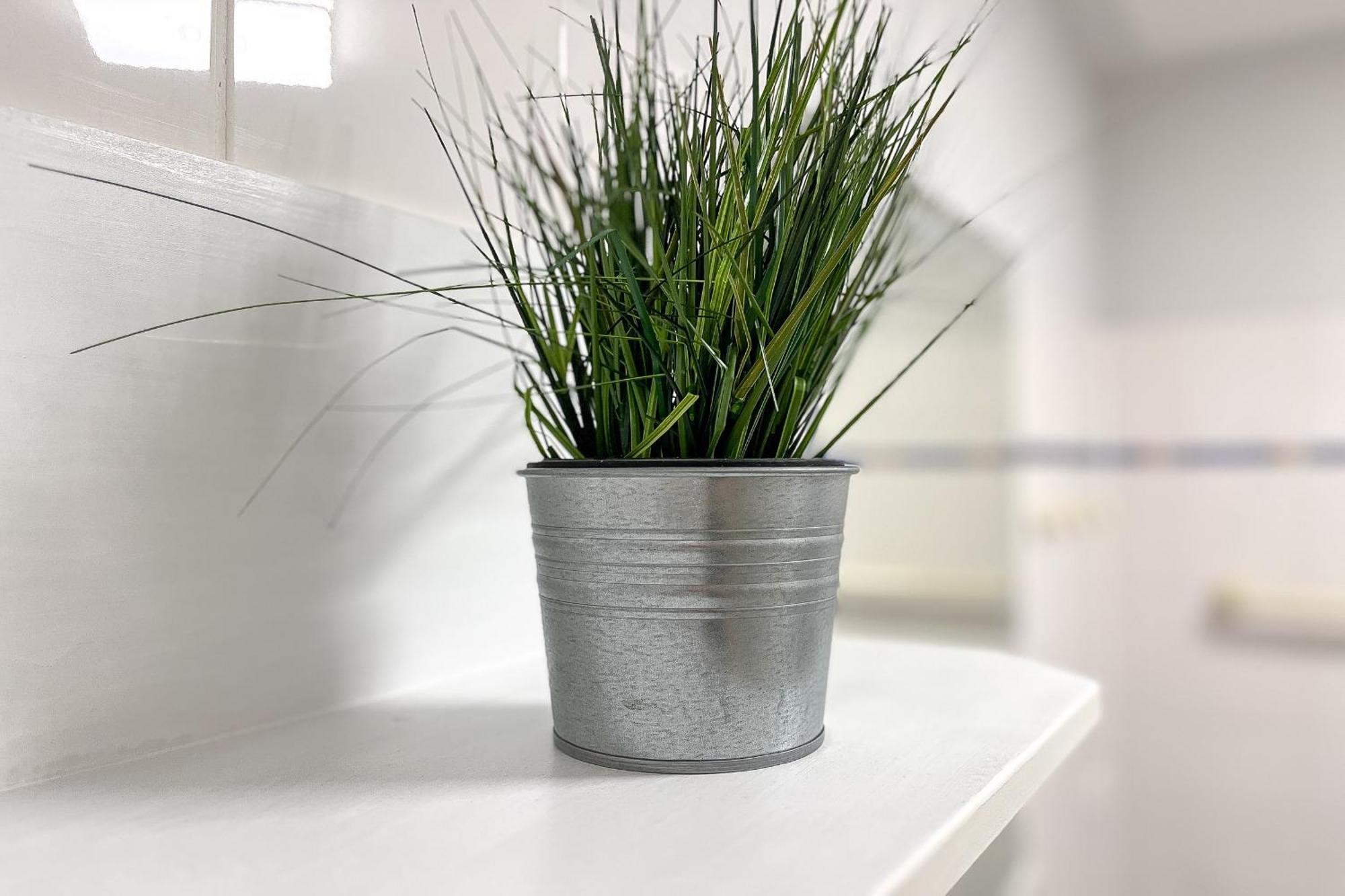 Likedeeler Wohnung 01 Boltenhagen  Ngoại thất bức ảnh